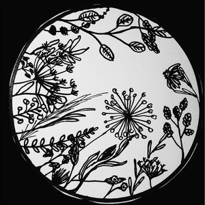 Wildflower B&W drawing